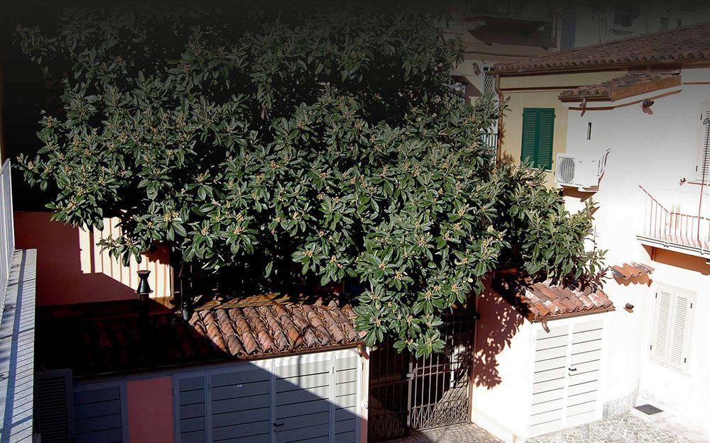 Residenza Il Nespolo - Estella Collection Apartment Turin